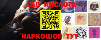 МДПВ Кингисепп