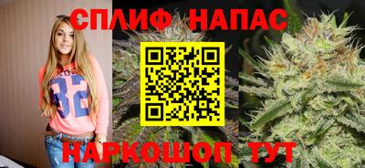 МДПВ Кингисепп