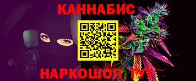 МДПВ Кингисепп