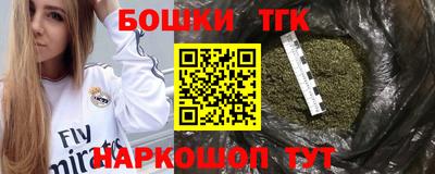 МДПВ Кингисепп