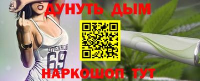 МДПВ Кингисепп