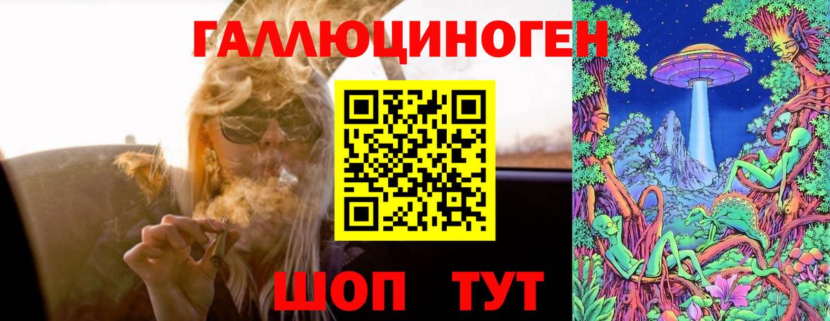 Галлюциногенные грибы GOLDEN TEACHER Кизилюрт
