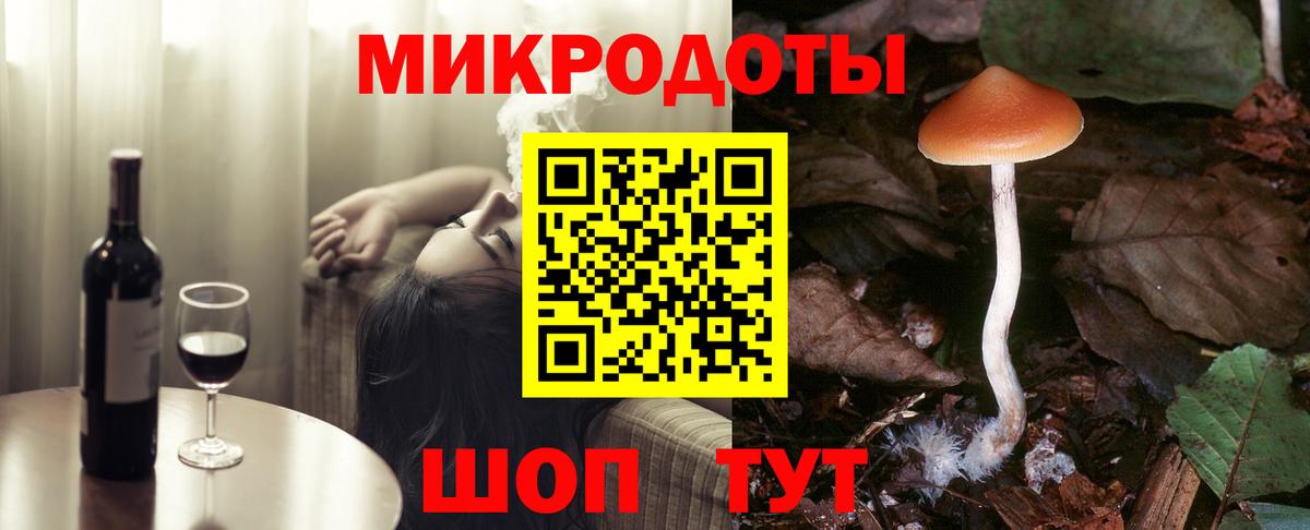 Кизилюрт  Псилоцибиновые грибы прущие грибы  Вход с VPN 